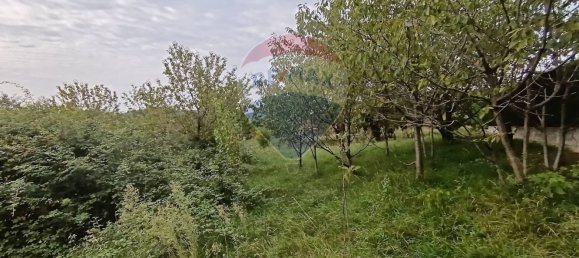 Terreno en San Paolo d'Argon, Italy No. 362286 11