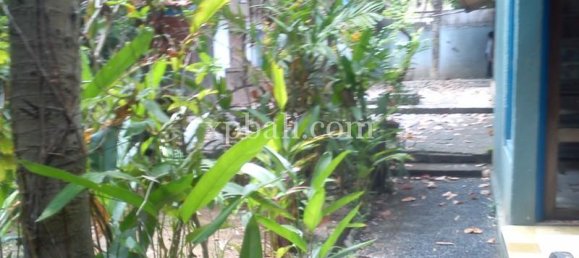 Grundstück in Seminyak, Indonesia 1050m², Nr. 3855 10