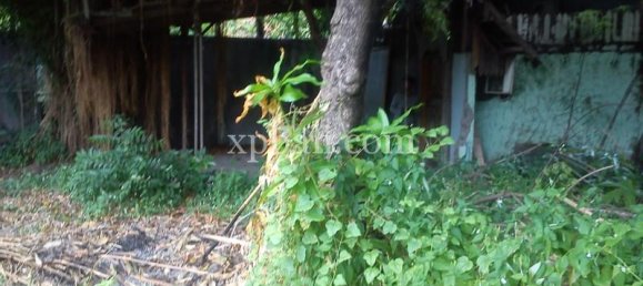 Grundstück in Seminyak, Indonesia 1050m², Nr. 3855 16