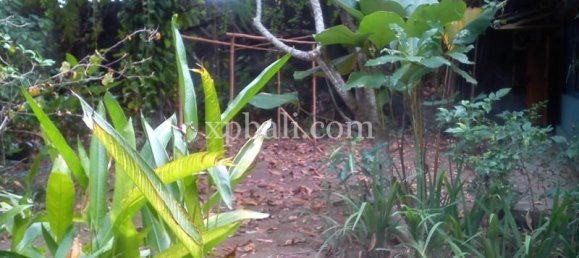 Grundstück in Seminyak, Indonesia 1050m², Nr. 3855 13