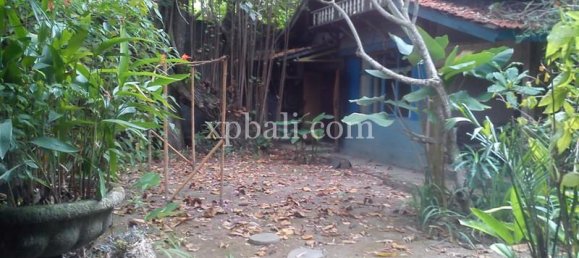 Grundstück in Seminyak, Indonesia 1050m², Nr. 3855 11