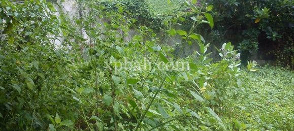 Grundstück in Seminyak, Indonesia 1050m², Nr. 3855 18