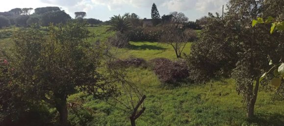 7 chambres Villa à Noto, Italy No. 60694 29