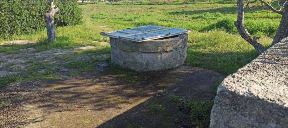 7 chambres Villa à Noto, Italy No. 60694 47