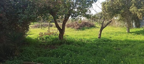 7 chambres Villa à Noto, Italy No. 60694 6