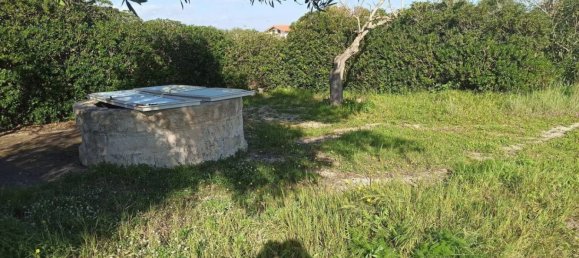 7 chambres Villa à Noto, Italy No. 60694 50