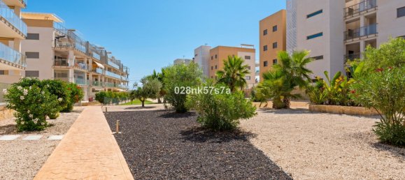 2 Schlafzimmer Wohnung in La Zenia, Spain, Nr. 178712 37