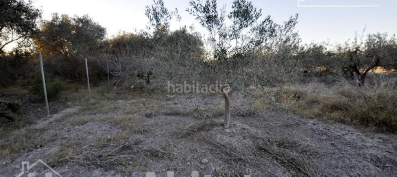 4 bedrooms House in Almardà, Spain No. 144614 25