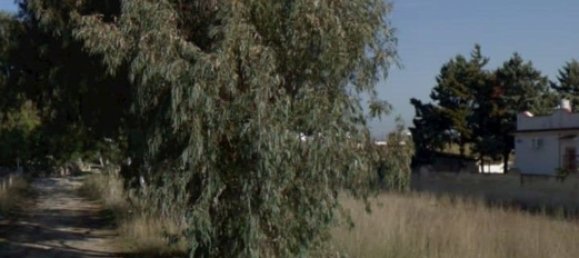 1592m² Land in Maruggio, Italy No. 157522 5