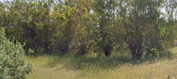 1592m² Land in Maruggio, Italy No. 157522 6