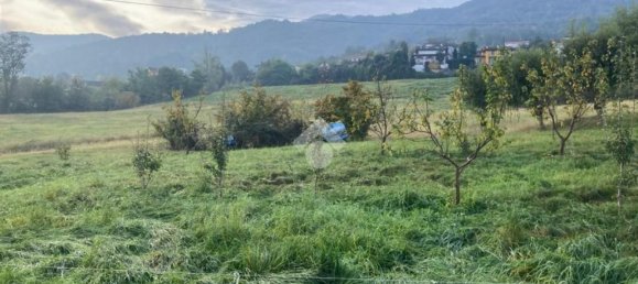 4غرفة منزل في Gambasca, Italy رقم 111852 15