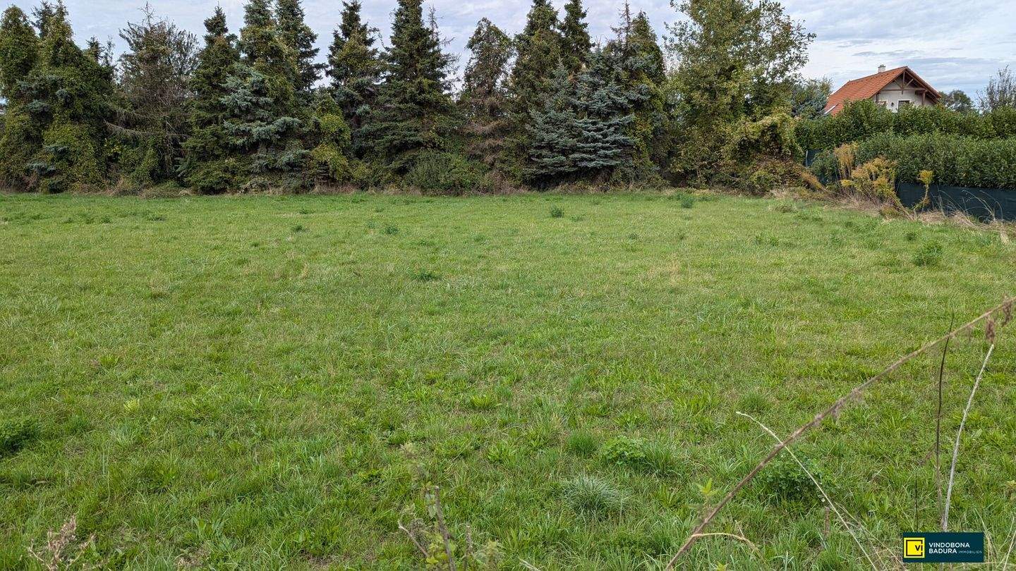  Land in Zillingdorf, Austria No. 50253