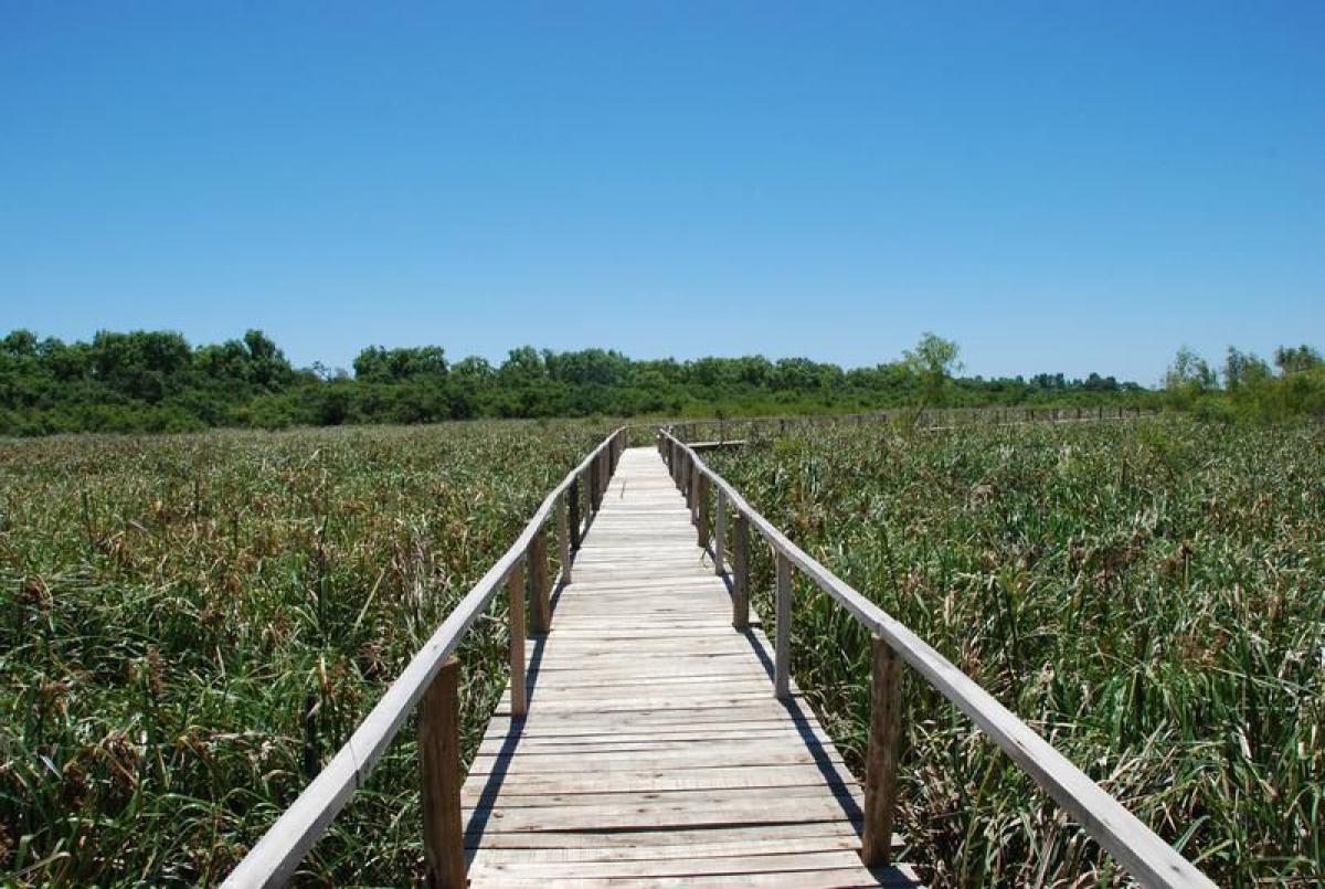  Land in Tigre, Argentina No. 113051