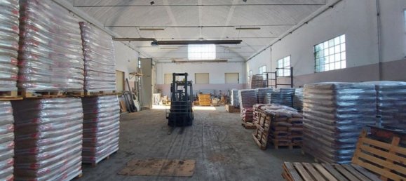 385m² Warehouse in Lugo, Italy No. 372060 3