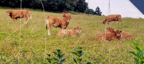 3 bedrooms House in Epinal, France No. 336762 9