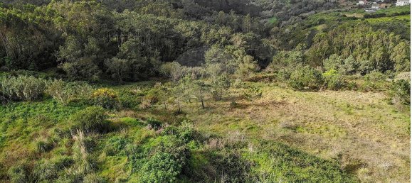 9 Schlafzimmer Haus in Mafra, Portugal, Nr. 56545 4