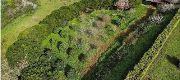 9 Schlafzimmer Haus in Mafra, Portugal, Nr. 56545 3