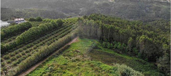 9 Schlafzimmer Haus in Mafra, Portugal, Nr. 56545 5