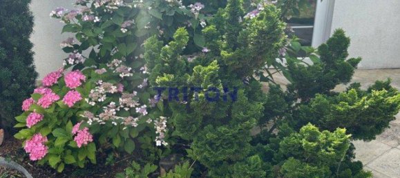 Дом с 6 комнатами в Нойфельд ан дер Лайта, Австрия № 218934 43