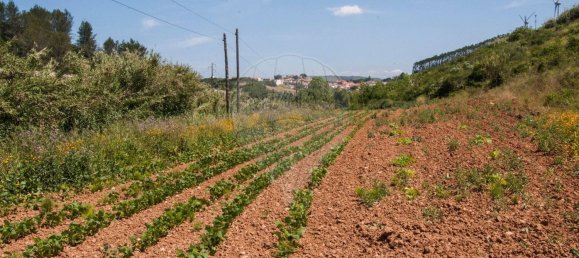 34370m² Land in Torres Vedras, Portugal No. 90390 3