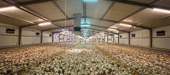 3 bedrooms House in Abrantes, Portugal No. 82163 45