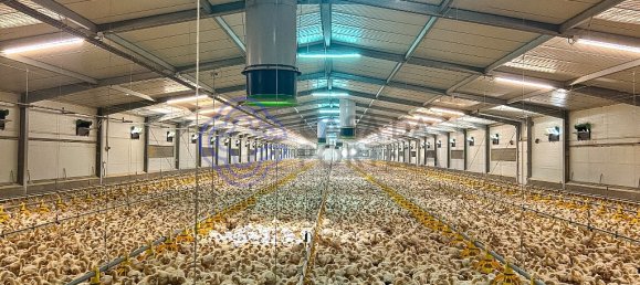 3 bedrooms House in Abrantes, Portugal No. 82163 44