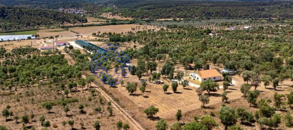 3 bedrooms House in Abrantes, Portugal No. 82163 43