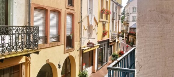 315m² Building in Plombieres-les-Bains, France No. 220376 6