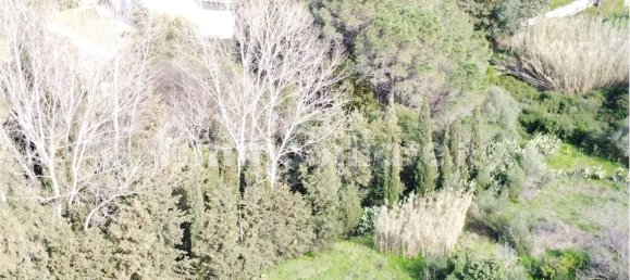 Terrain à Olbia, Italy 10000m² No. 87503 50