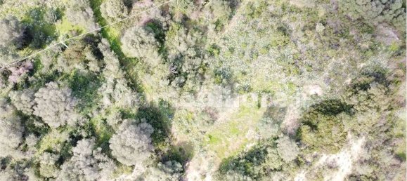 Terrain à Olbia, Italy 10000m² No. 87503 23