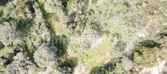 Terrain à Olbia, Italy 10000m² No. 87503 22