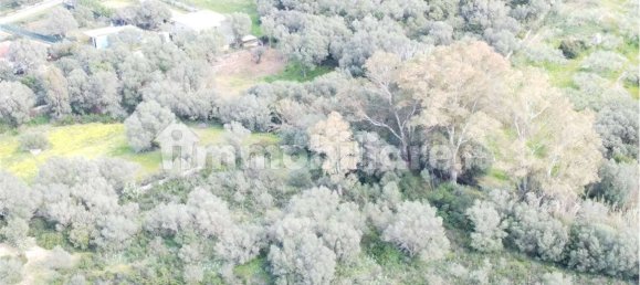 Terrain à Olbia, Italy 10000m² No. 87503 27