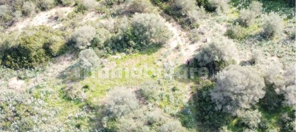 Terrain à Olbia, Italy 10000m² No. 87503 42