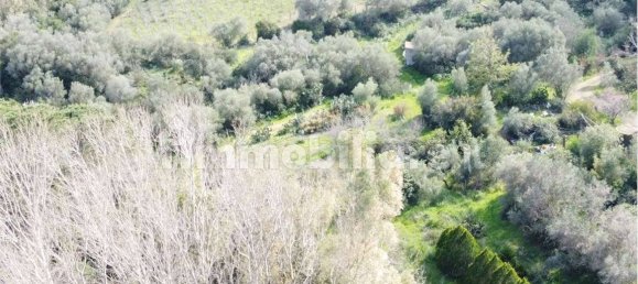 Terrain à Olbia, Italy 10000m² No. 87503 15