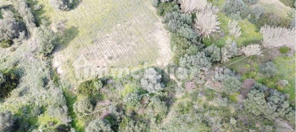 Terrain à Olbia, Italy 10000m² No. 87503 24