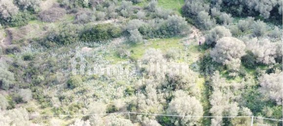 Terrain à Olbia, Italy 10000m² No. 87503 41