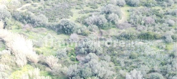 Terrain à Olbia, Italy 10000m² No. 87503 40