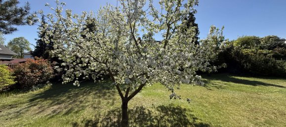  Land in Markisch-Oderland, Germany No. 45898 11