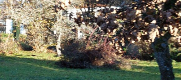 Terreno en Zell am See, Austria No. 83209 4