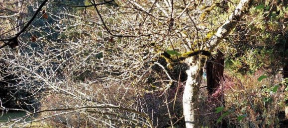 Terreno en Zell am See, Austria No. 83209 5