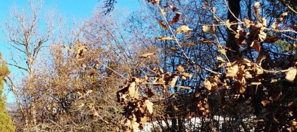 Terreno en Zell am See, Austria No. 83209 6