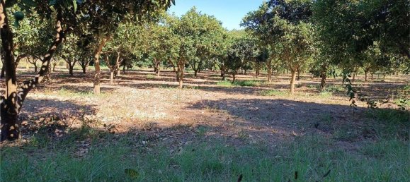 4 chambres Maison à Sassari, Italy No. 362573 20