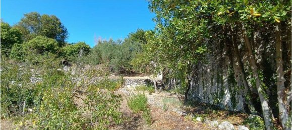 4 chambres Maison à Sassari, Italy No. 362573 25