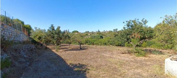 4 chambres Maison à Sassari, Italy No. 362573 39