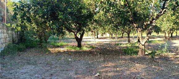 4 chambres Maison à Sassari, Italy No. 362573 19