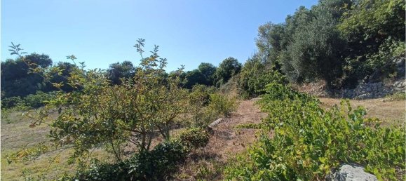 4 chambres Maison à Sassari, Italy No. 362573 26