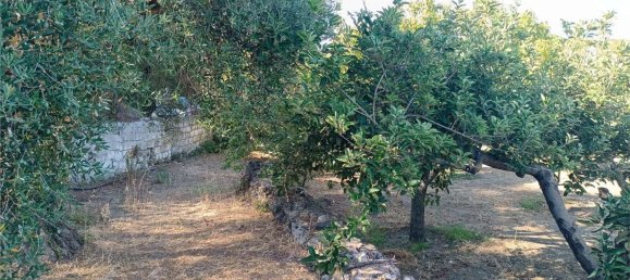 4 chambres Maison à Sassari, Italy No. 362573 46