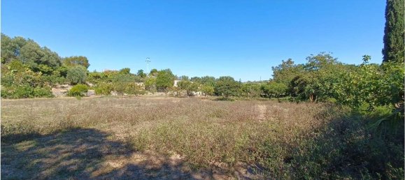 4 chambres Maison à Sassari, Italy No. 362573 34