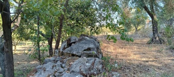 4 chambres Maison à Sassari, Italy No. 362573 48