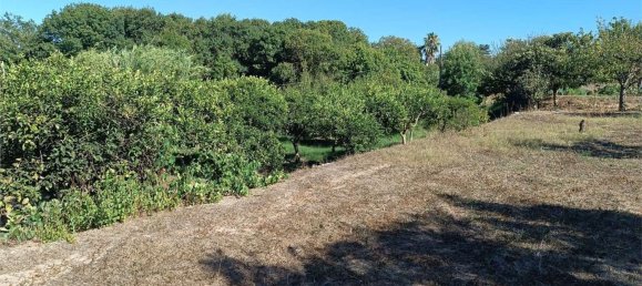 4 chambres Maison à Sassari, Italy No. 362573 44